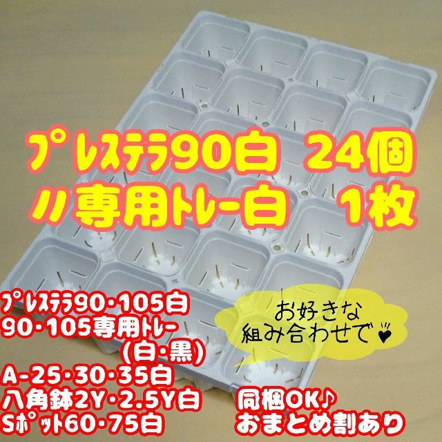 【スリット鉢】プレステラ90白24個＋専用システムトレー白1枚 多肉植物 ハンドメイドのフラワー/ガーデン(プランター)の商品写真