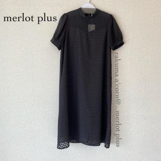 メルロー(merlot)のmerlot plus ドットシースルー切替えワンピース(ひざ丈ワンピース)