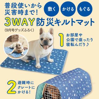 新品未開封　いぬのきもち　付録　3WAY 防災キルトマット　防災ハンドブック(犬)