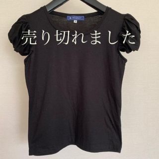 エムズグレイシー(M'S GRACY)のエムズグレーシー　Tシャツ(カットソー(半袖/袖なし))