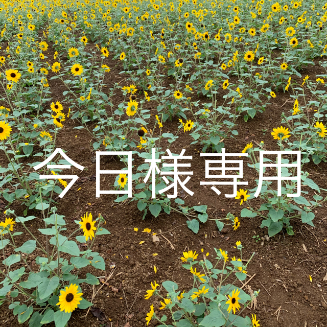 ゼオスキン 2点セット ゼオスキン 2点セット