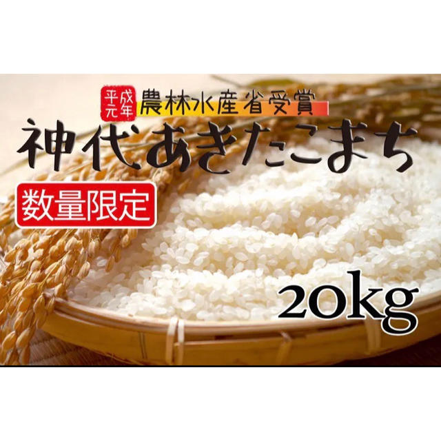 キヌヒカリ　米　10kg 令和元年度米　精米　送料込み　生産者直送！