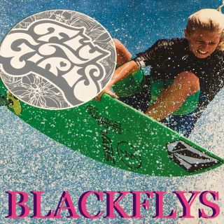 ブラックフライズ(BLACK FLYS)のBlackFlysブラックフライズ　US限定　Girlsサングラス　ステッカー(サングラス/メガネ)