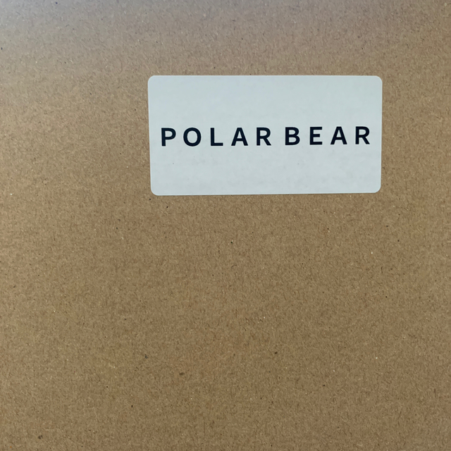 （exclusive）polar bear