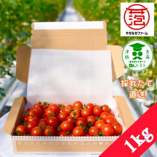 ☘️農学博士のミニトマト【Dr.トマト 1Kg】☘️〜青森津軽産〜(野菜)