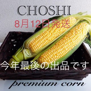 千葉県産甘ーいトウモロコシ　冷蔵便発送(野菜)