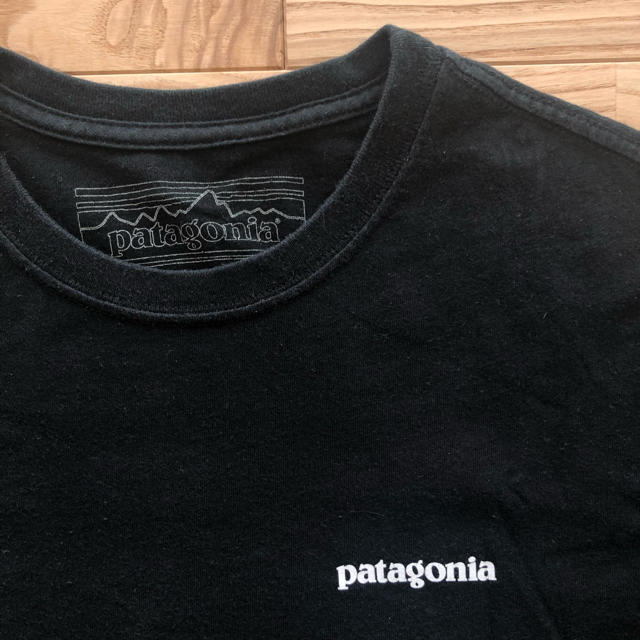 patagonia(パタゴニア)のpatagonia パタゴニアTシャツ　半袖カットソー メンズのトップス(Tシャツ/カットソー(半袖/袖なし))の商品写真