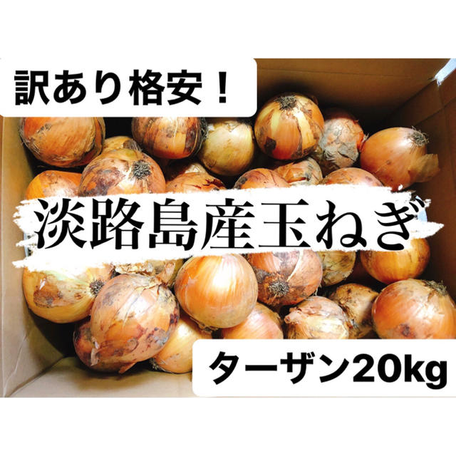 訳あり格安！南あわじ産玉ねぎターザン20kg送料無料 食品/飲料/酒の食品(野菜)の商品写真