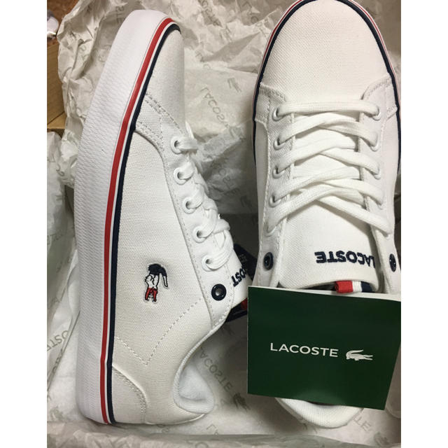 LACOSTE(ラコステ)のLACOSTEレディーススニーカー レディースの靴/シューズ(スニーカー)の商品写真