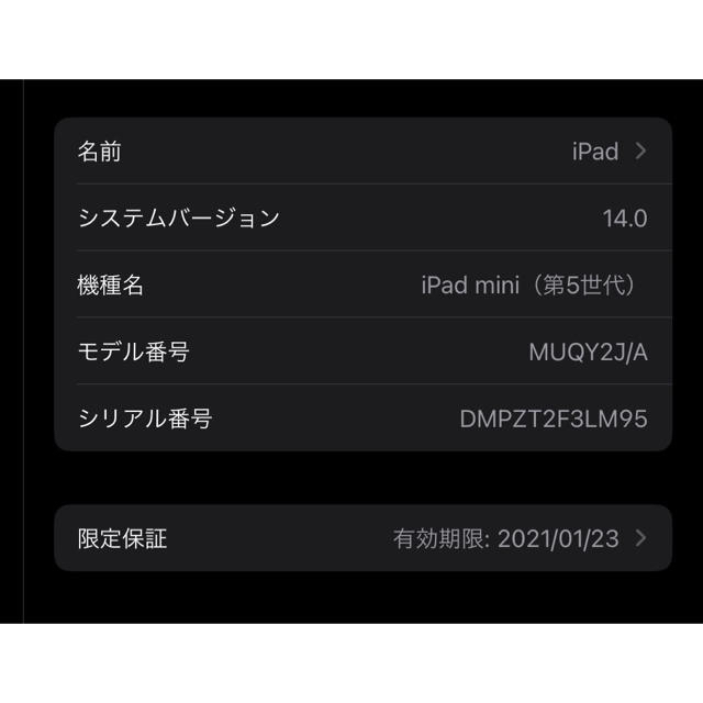 iPad mini5 Wi-Fi 64GB ゴールド✨美品✨ 3