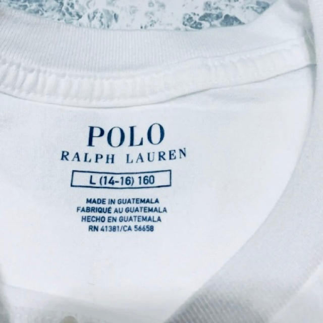 POLO RALPH LAUREN(ポロラルフローレン)のラルフローレン　Mサイズ　新品　白　Tシャツ レディースのトップス(Tシャツ(半袖/袖なし))の商品写真