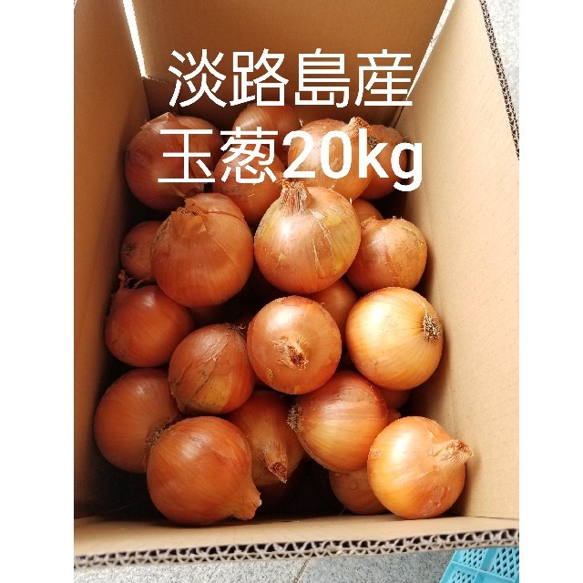 めっちゃ甘い‼️淡路島産玉葱20kg、農家直送です‼️ 食品/飲料/酒の食品(野菜)の商品写真