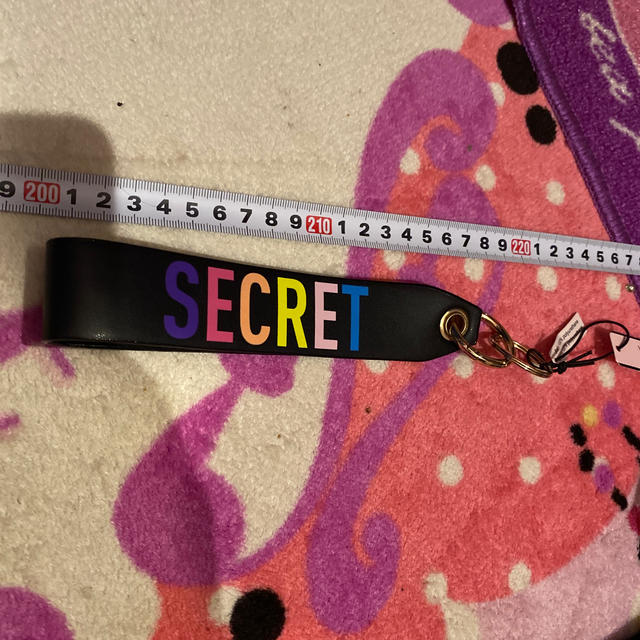 Victoria's Secret(ヴィクトリアズシークレット)のヴィクトリアシークレット★キーホルダー レディースのファッション小物(キーホルダー)の商品写真