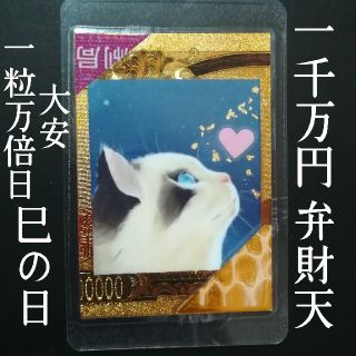 【✨1点物✨】にゃんこ  猫 白蛇 桜  ゴールド御札 御守り  縁起物 春(財布)