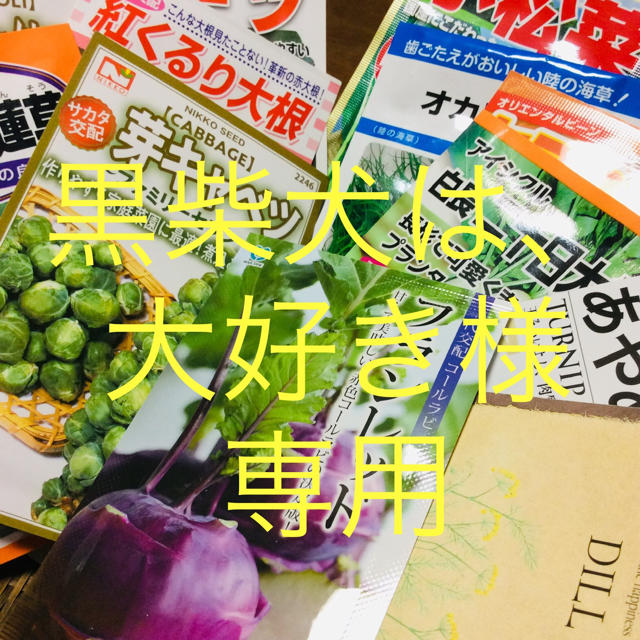 野菜の種 食品/飲料/酒の食品(野菜)の商品写真