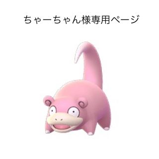 ポケモン(ポケモン)のちーちゃん様　専用ページ(ポーチ)