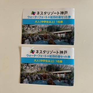 ネスタ　延羽の湯　入浴券(その他)