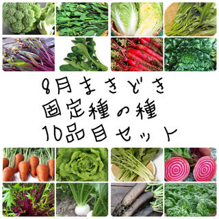 ★伝統野菜　根菜　葉物★8月まきどき固定種の種セット(野菜)