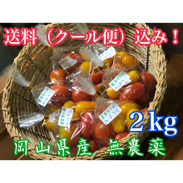 岡山県産 完全無農薬野菜 4種類ミニトマト‼️ 食品/飲料/酒の食品(野菜)の商品写真