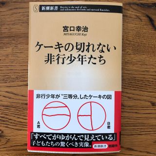 ケーキの切れない非行少年たち(文学/小説)