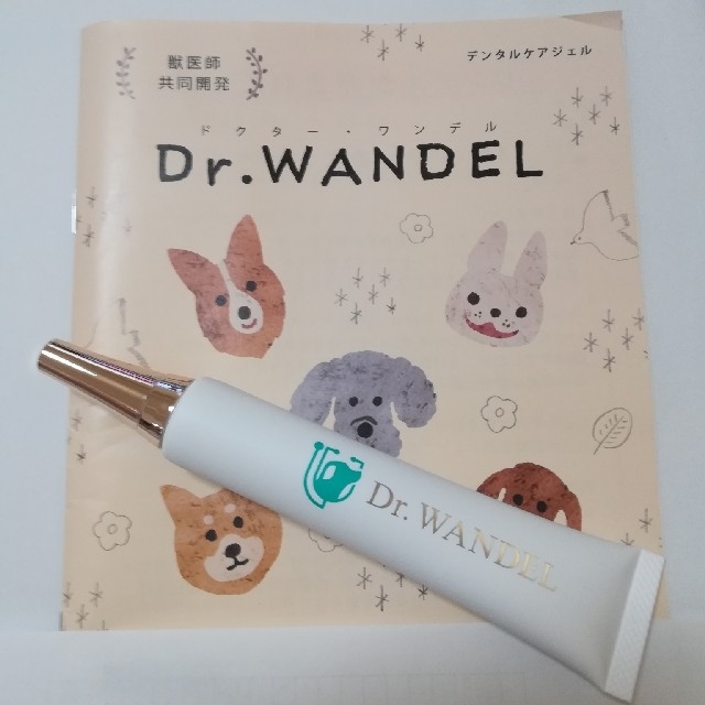 Dr ．ＷＡＮＤＥＬ   ドクターワンデル