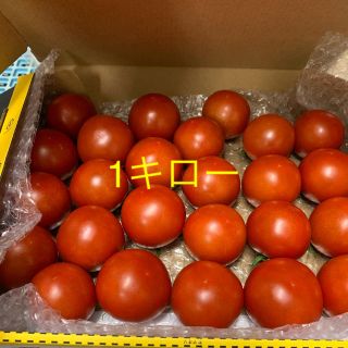 トマトフルティカ(野菜)