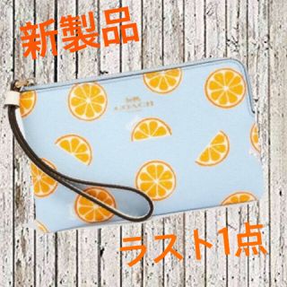 コーチ(COACH)の【COACH】新製品　限定品　オレンジ柄　ポーチ　 ＜ラスト1点＞(ポーチ)