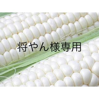 将やん様専用 雪の妖精20本(野菜)