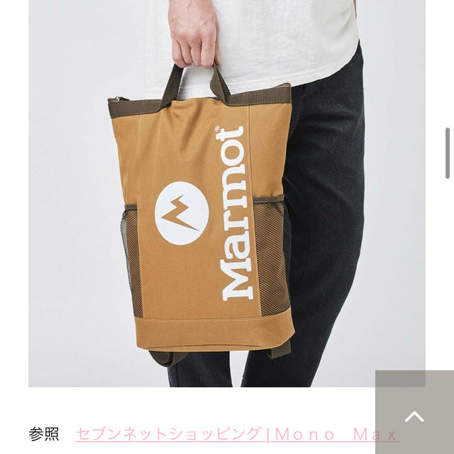 MARMOT(マーモット)のMarmot 保冷バッグ　付録　マーモット メンズのバッグ(バッグパック/リュック)の商品写真