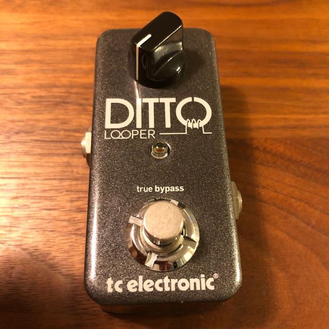 tc electronic DITTO LOOPER ルーパー - エフェクター