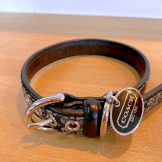 コーチ(COACH)の美品♡コーチ　首輪　S ミニシグネチャー(リード/首輪)