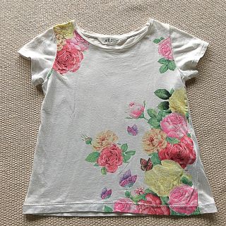 エイチアンドエム(H&M)のH&M バラ×蝶柄　薄手　半袖　Tシャツ　120〜130㎝(Tシャツ/カットソー)