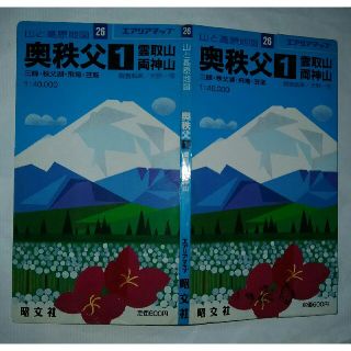 エアリアルマップ　奥秩父1 雲取山　両神山(地図/旅行ガイド)