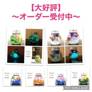 【同梱値引き】〜小さなアクアリウム〜熱帯魚/金魚/海月/クリオネetc...(プリザーブドフラワー)