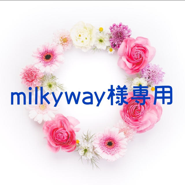 milkyway様専用の通販 by rieりえ's shop｜ラクマ