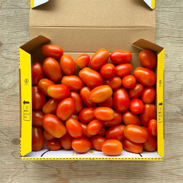 加熱調理用「シシリアンルージュ」約1kg 栽培期間中農薬不使用　ミニトマト 食品/飲料/酒の食品(野菜)の商品写真