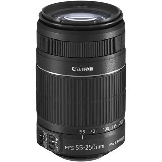 キヤノン(Canon)のEF-S 55-250 IS STM(デジタル一眼)