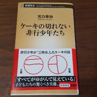 新潮新書『ケーキの切れない非行少年たち』(ノンフィクション/教養)