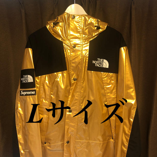 supreme the north face mountain parka L