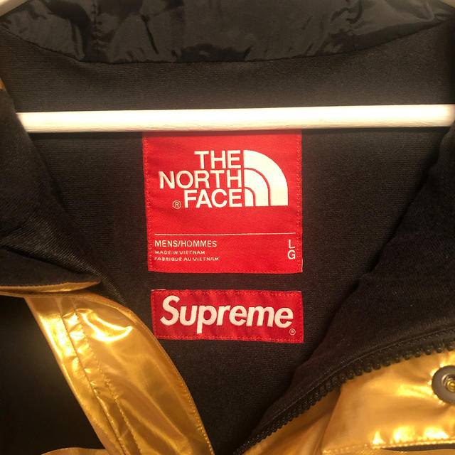 Supreme(シュプリーム)のsupreme the north face mountain parka L メンズのジャケット/アウター(マウンテンパーカー)の商品写真