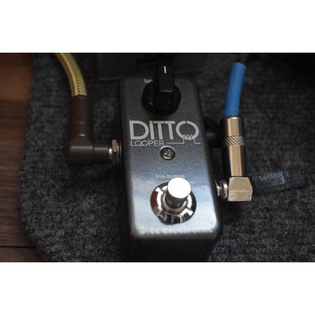 Electronics　Ditto　エフェクター　looper　TC