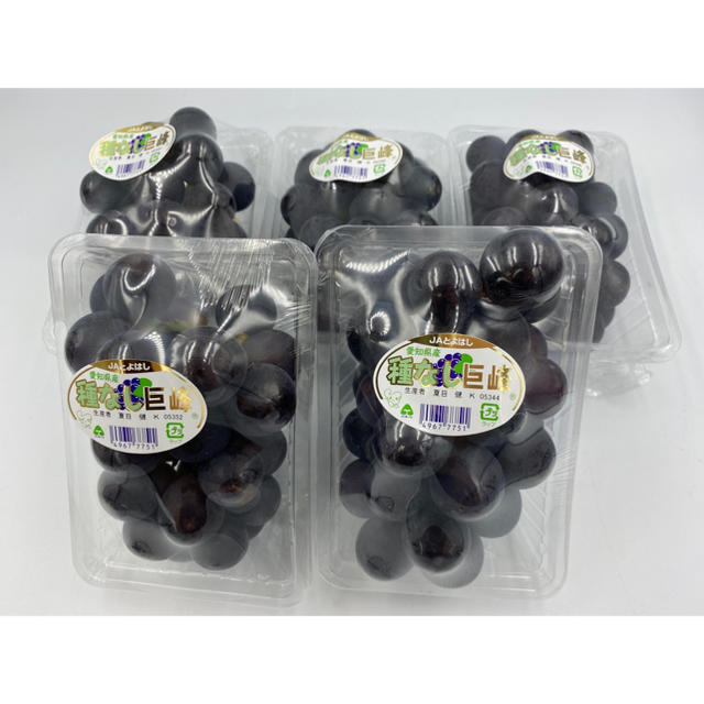 愛知県産　種なし巨峰🍇秀品2L 5パック　1パック350g 食品/飲料/酒の食品(フルーツ)の商品写真