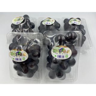 愛知県産　種なし巨峰🍇秀品2L 5パック　1パック350g(フルーツ)