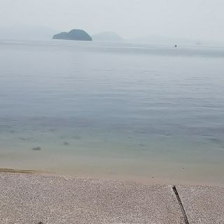 ∵様専用(その他)