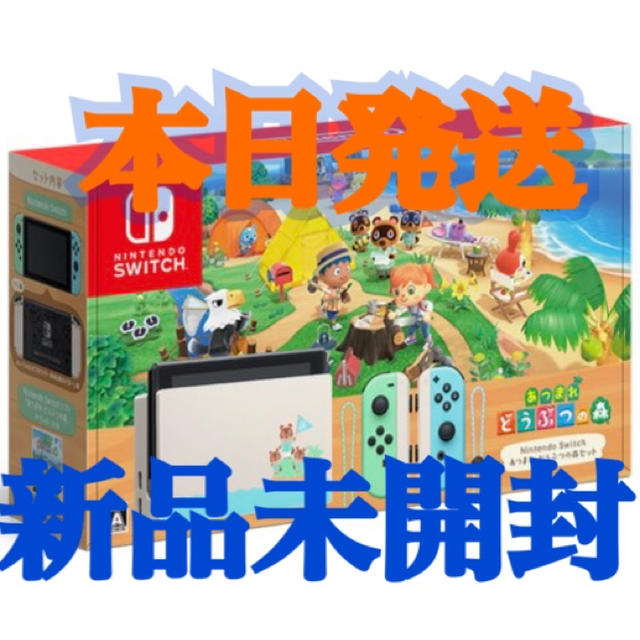 Nintendo Switch あつまれ どうぶつの森セット 同梱版エンタメ/ホビー