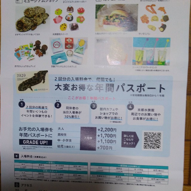 京都水族館  年間パスポート引換券  ２枚 チケットの施設利用券(水族館)の商品写真