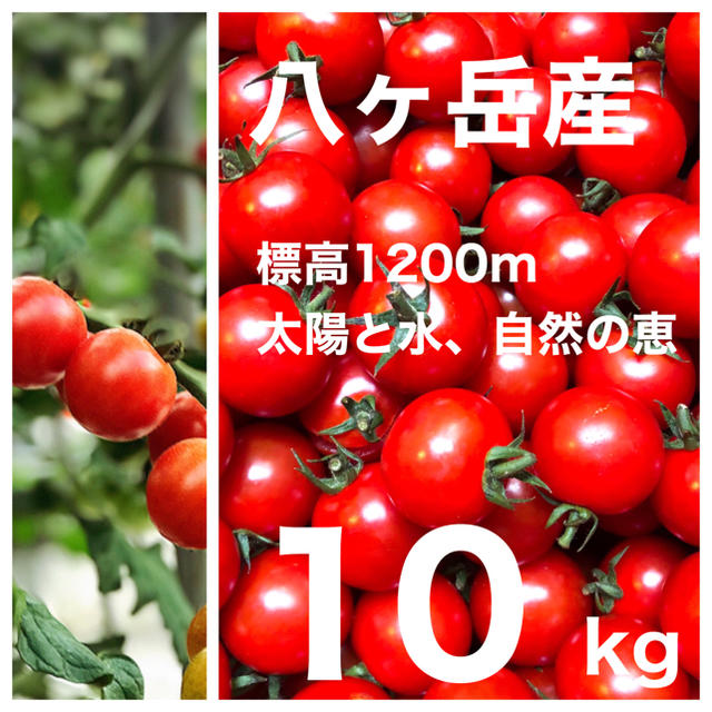 コクトマ！こくあり味濃いめ 八ヶ岳産ミニトマト 約10kg 品質保証付 減農薬の通販 by 田宮かいち's shop｜ラクマ