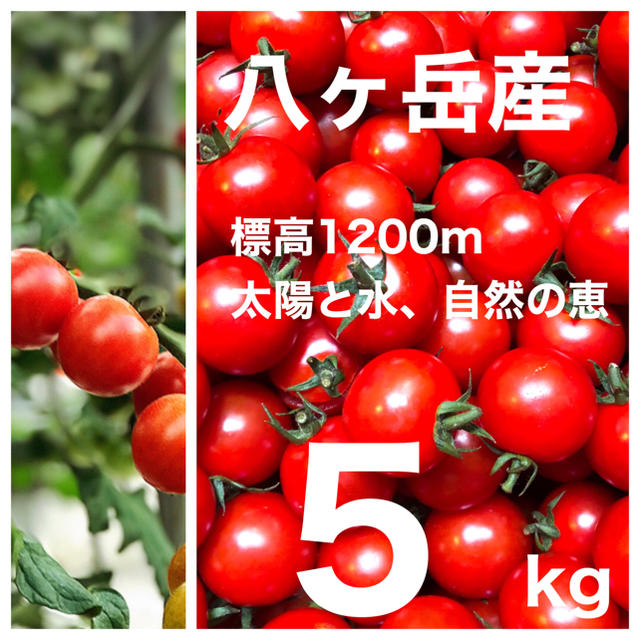 コクトマ！こくあり味濃いめ　八ヶ岳産ミニトマト 約5kg　品質保証 減農薬 食品/飲料/酒の食品(野菜)の商品写真