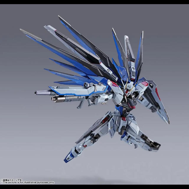 METAL BUILD 機動戦士ガンダムSEED フリーダムガンダム