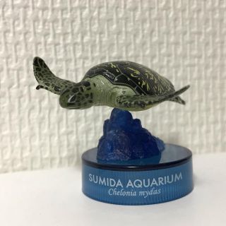 カイヨウドウ(海洋堂)の海洋堂 すみだ水族館フィギュアコレクション アオウミガメ(その他)